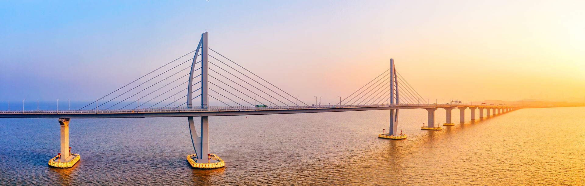 Global Network and Supply Chain